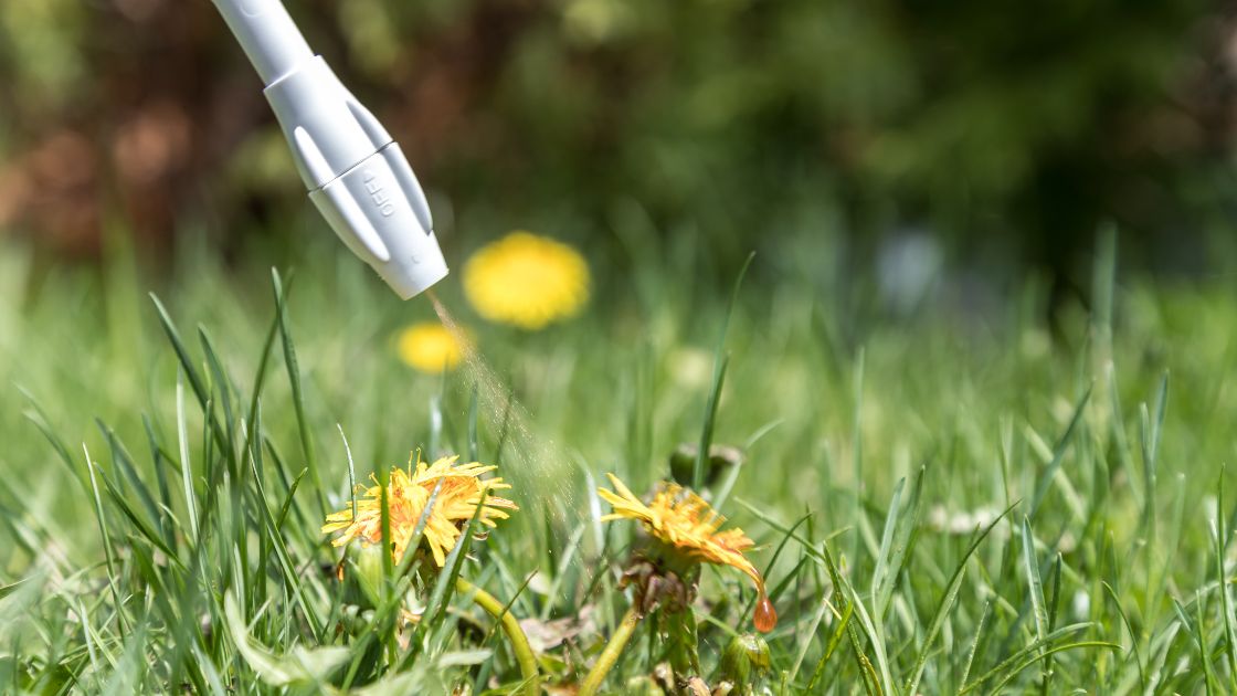 Diserbanti Naturali per il Giardino - Acquista ora