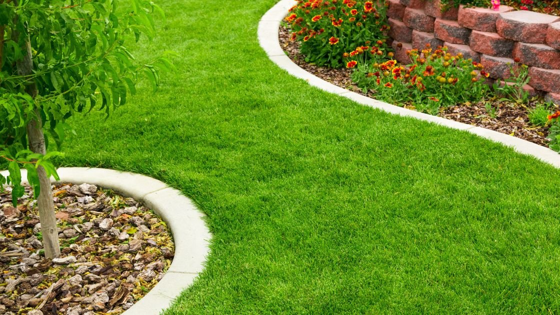 GARDENIX® 100 Pezzi Terrapin, Ancoraggio da per Giardino per
