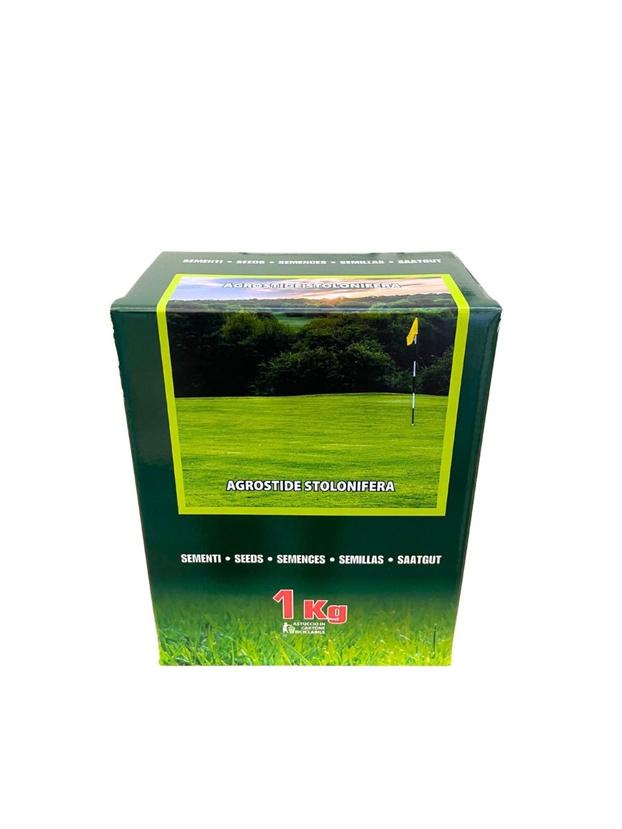 Agrostide Stolonifera - 1Kg - Mondoprato