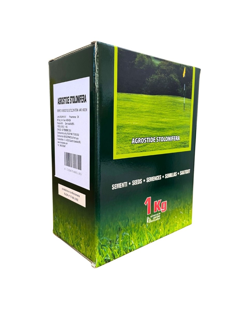 Agrostide Stolonifera - 1Kg - Mondoprato