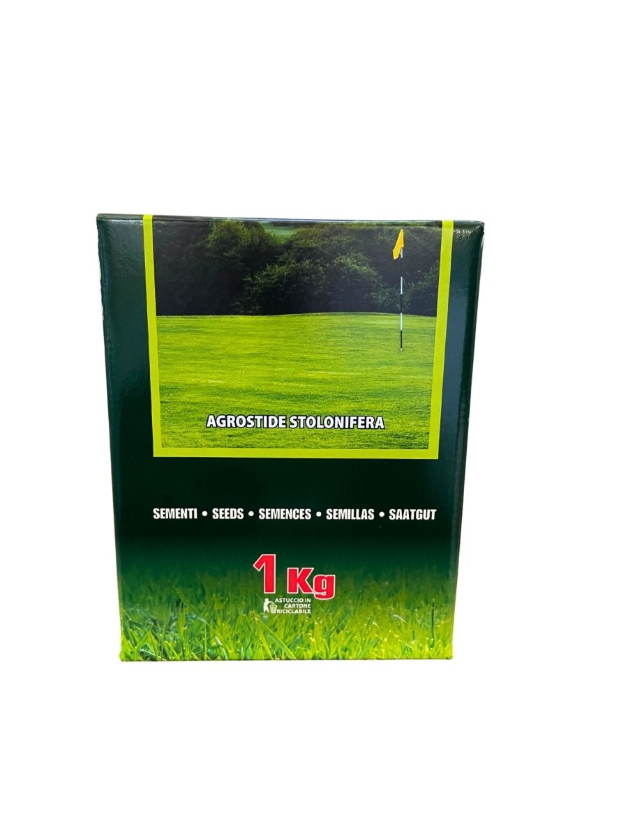 Agrostide Stolonifera - 1Kg - Mondoprato