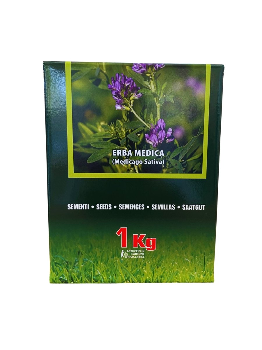 Erba Medica (Medicago Sativa L.) - 1KG - Mondoprato