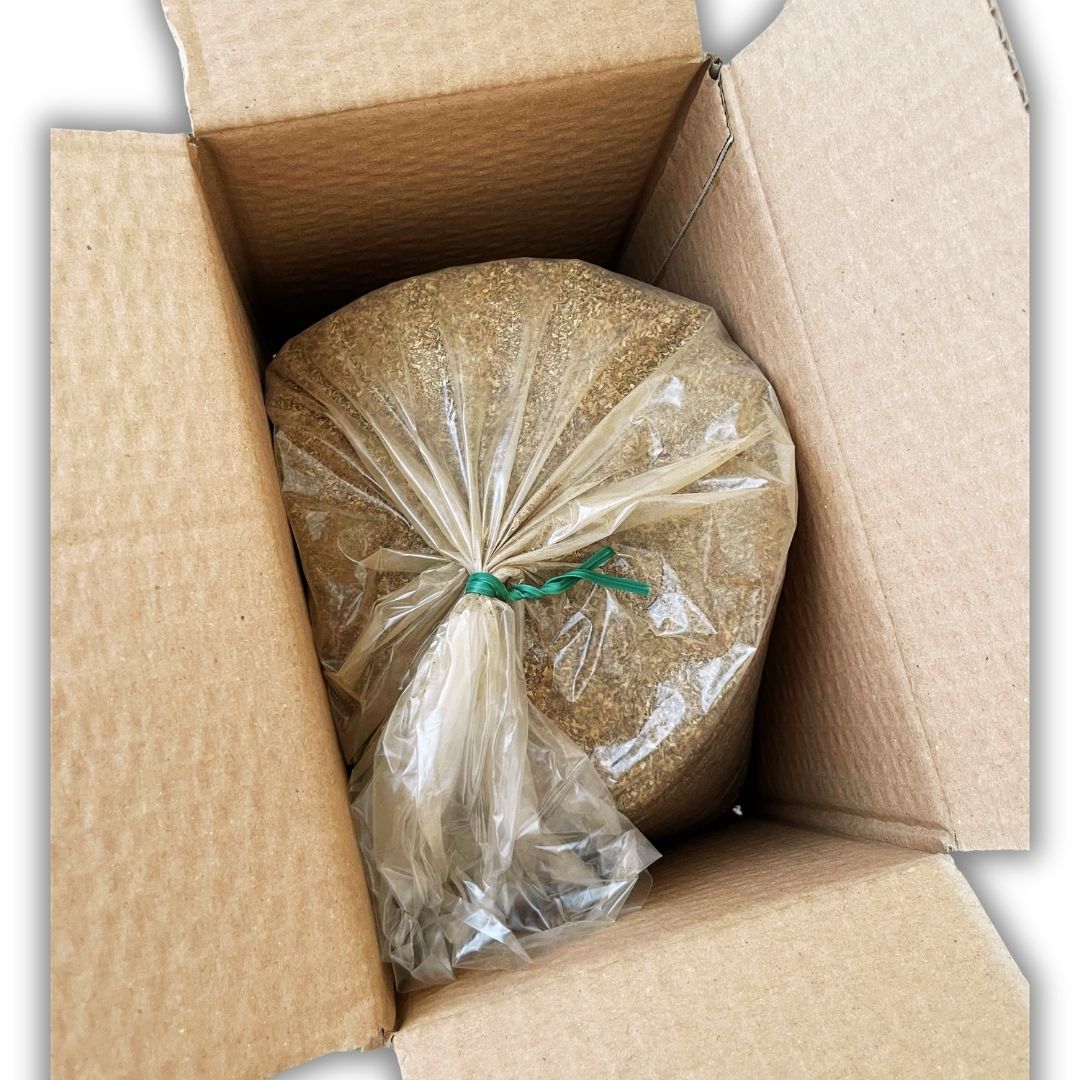 Piretro in Polvere - 1 Kg - Mondoprato