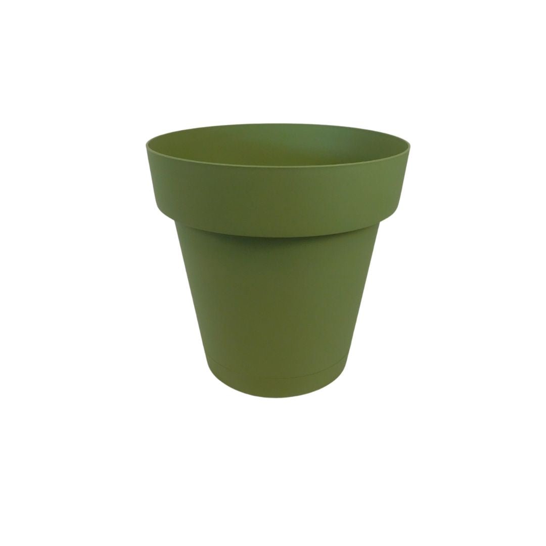 R - smart salvia - Mondoprato