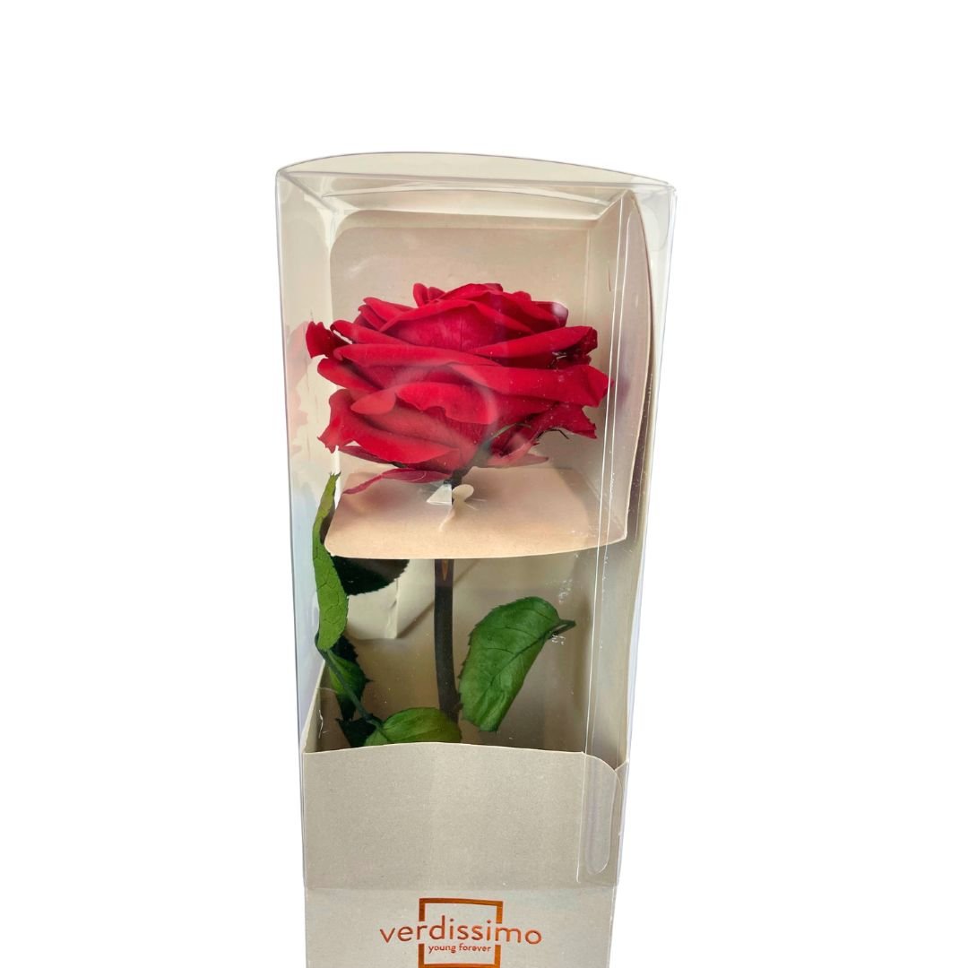 Rosa Stabilizzata Grande - Mondoprato