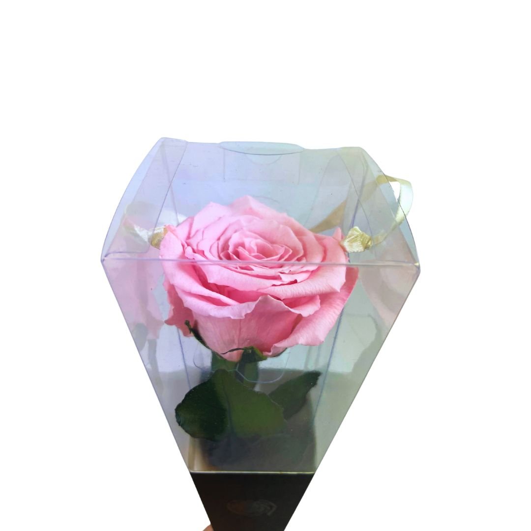 Rosa Stabilizzata in cono - Vari colori - Mondoprato