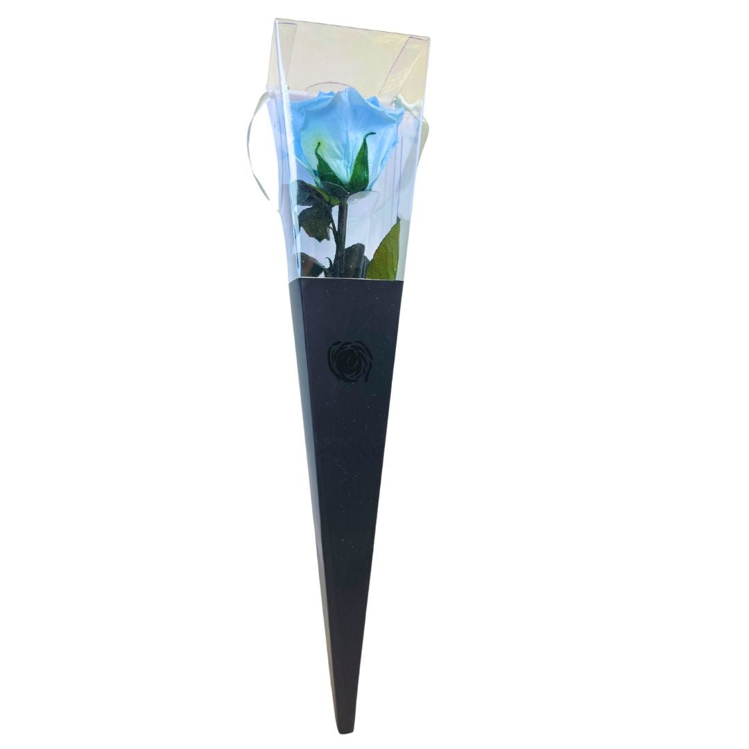 Rosa Stabilizzata in cono - Vari colori - Mondoprato