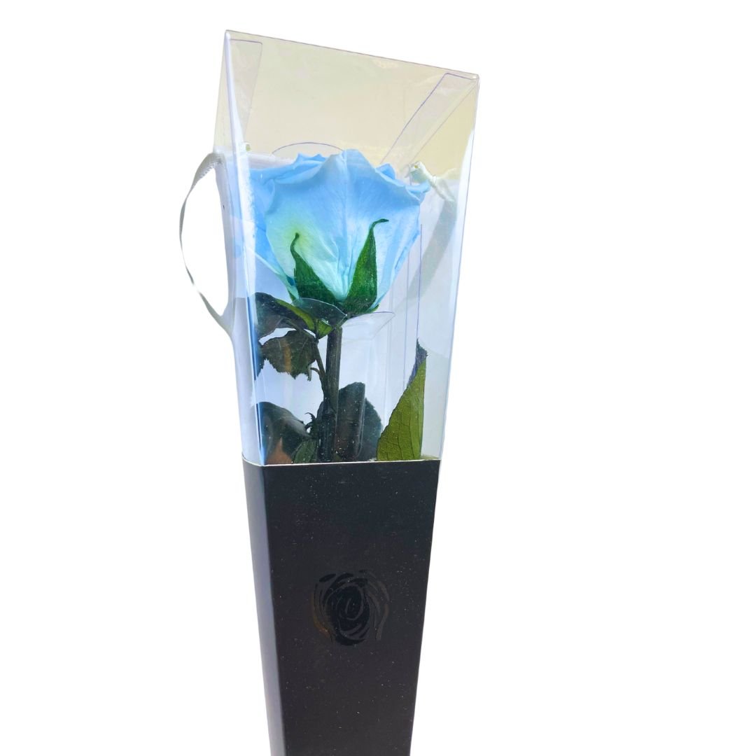 Rosa Stabilizzata in cono - Vari colori - Mondoprato