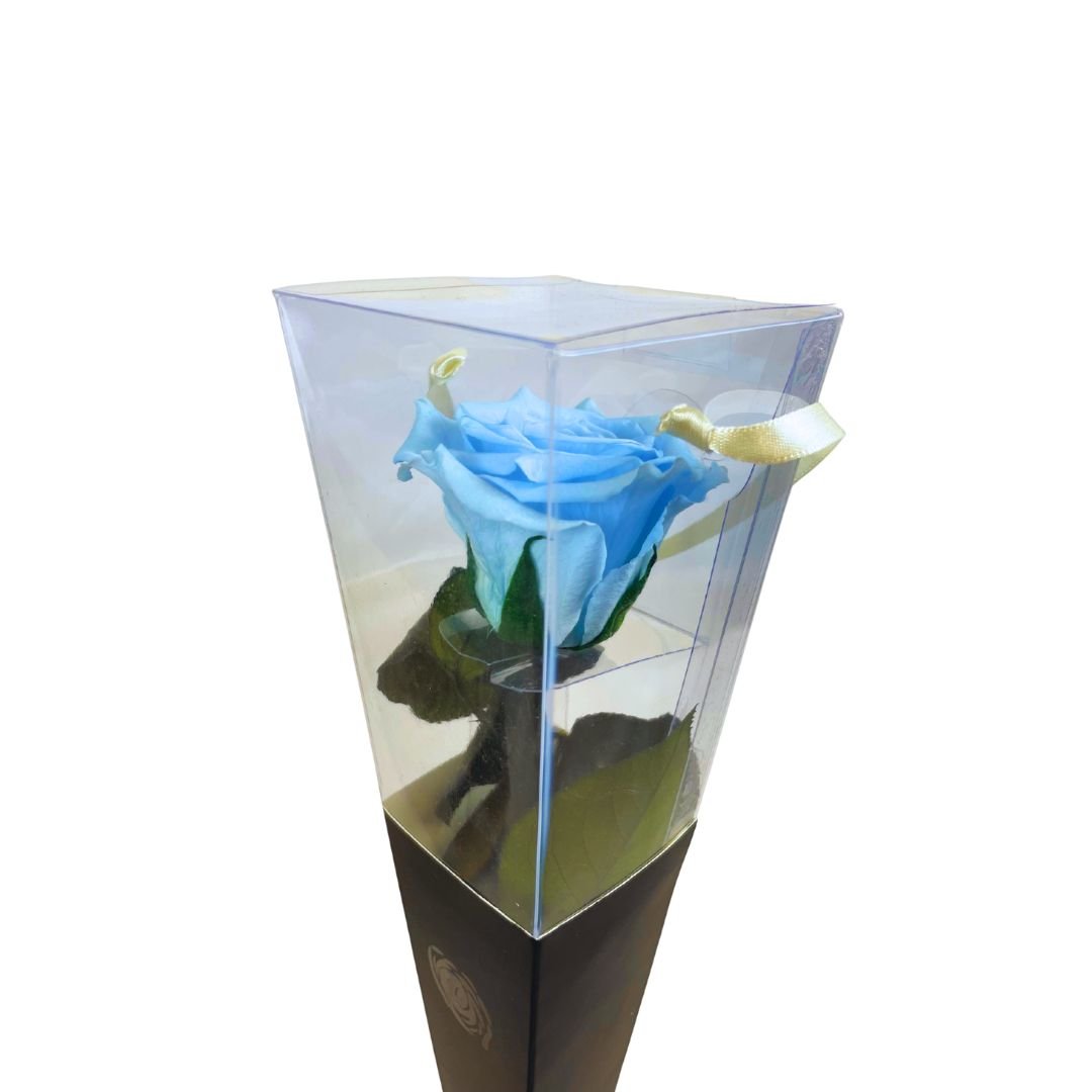 Rosa Stabilizzata in cono - Vari colori - Mondoprato