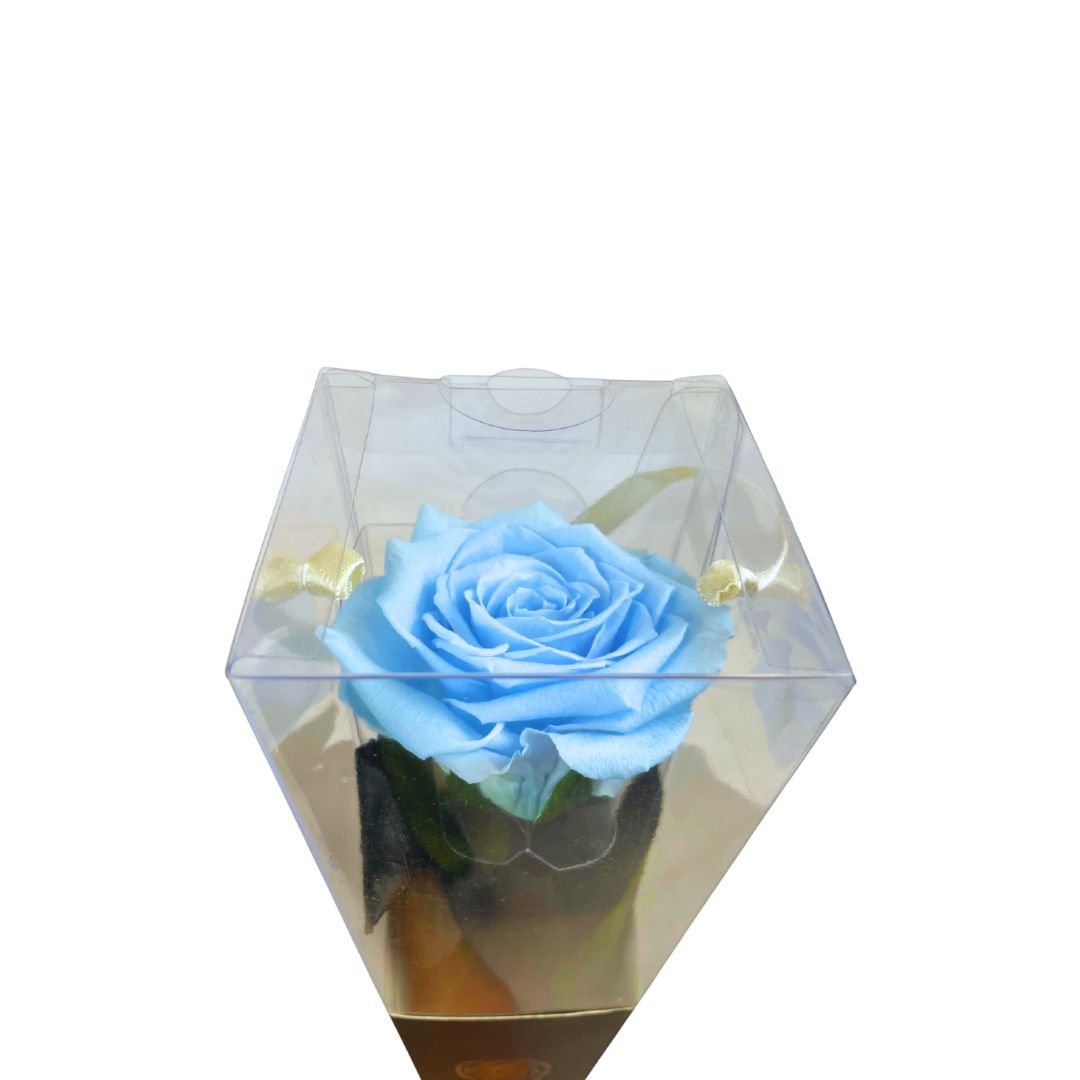 Rosa Stabilizzata in cono - Vari colori - Mondoprato