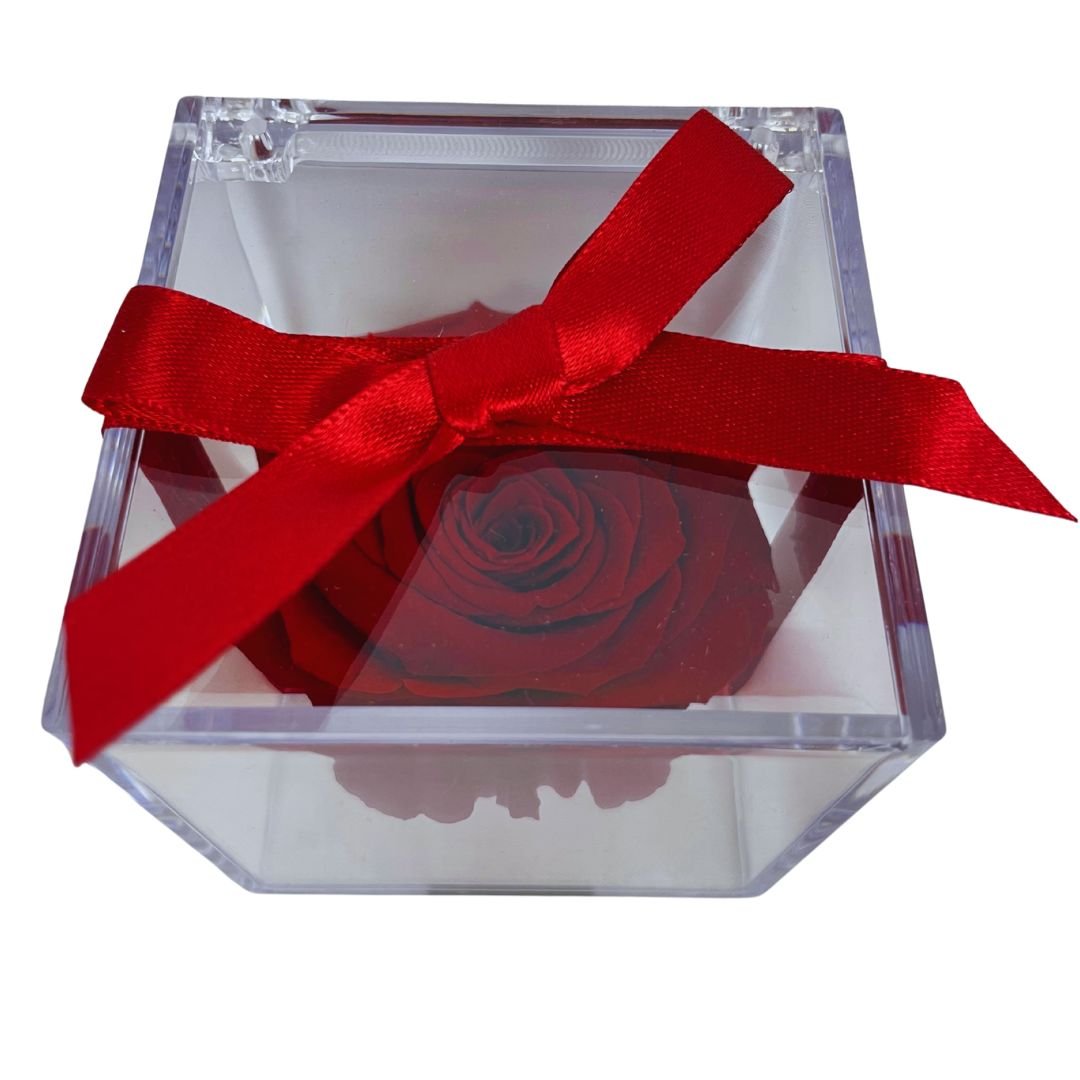 Rosa Stabilizzata in plexiglass - Mondoprato