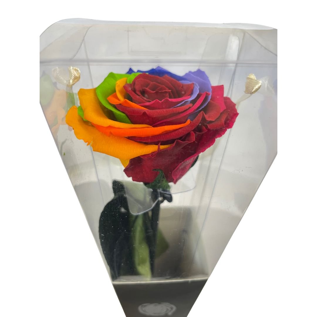 Rosa Stabilizzata Multicolor - 30 Cm - Mondoprato