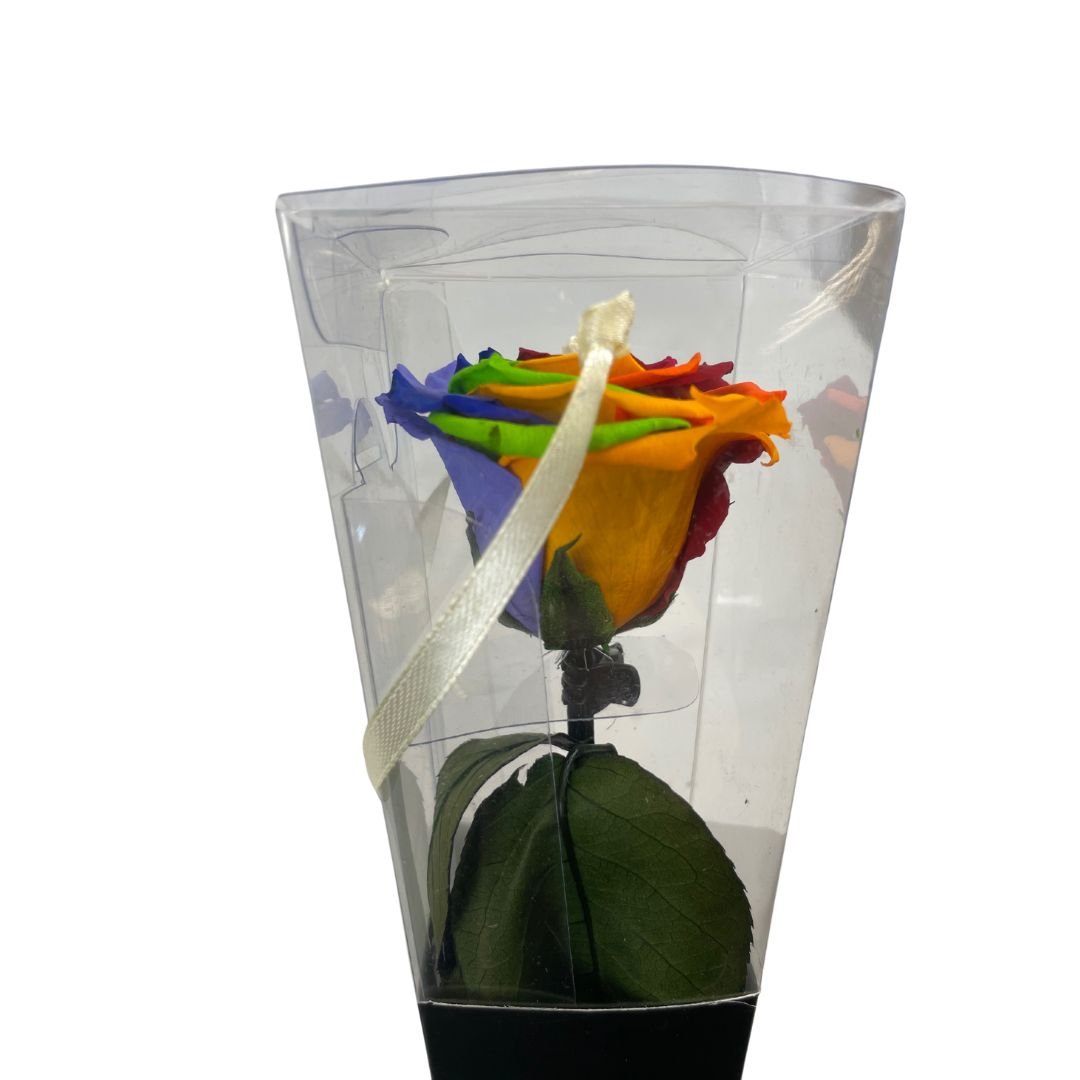Rosa Stabilizzata Multicolor - 30 Cm - Mondoprato