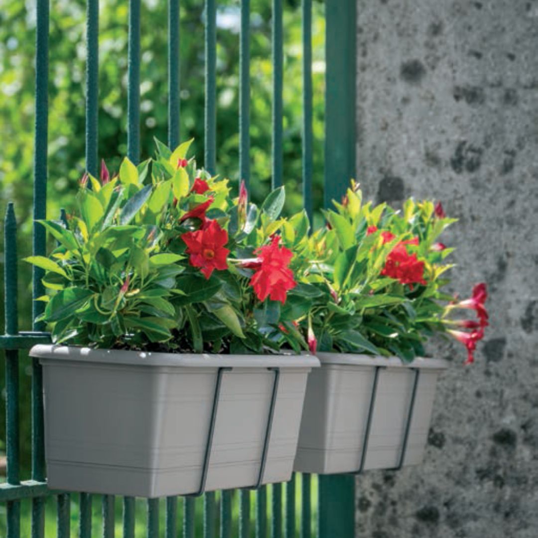 Cassetta Rustica - Mondoprato