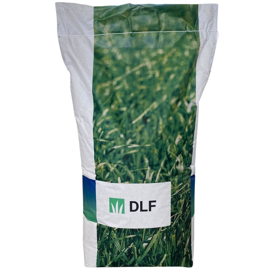 Festuca Arundinacea Greenfront - 20 Kg - Mondoprato