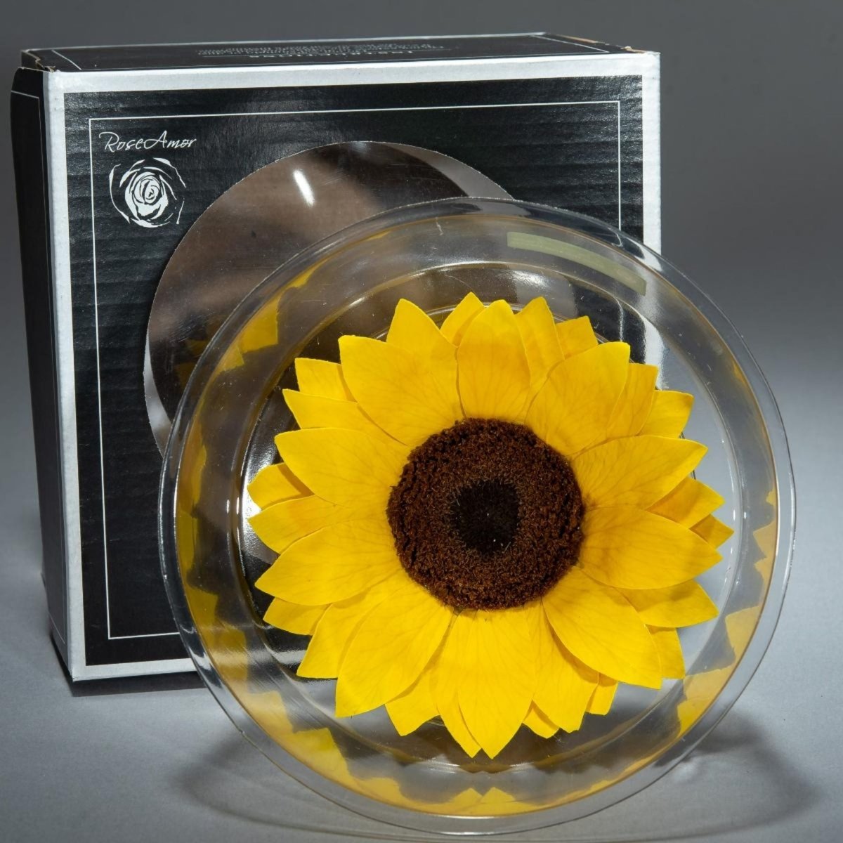 Girasole stabilizzato in scatola - Mondoprato