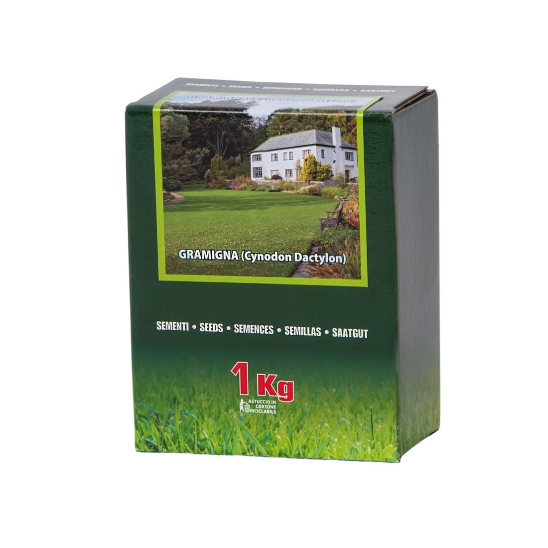 GRAMIGNA (CYNODON DACTYLON) - Mondoprato