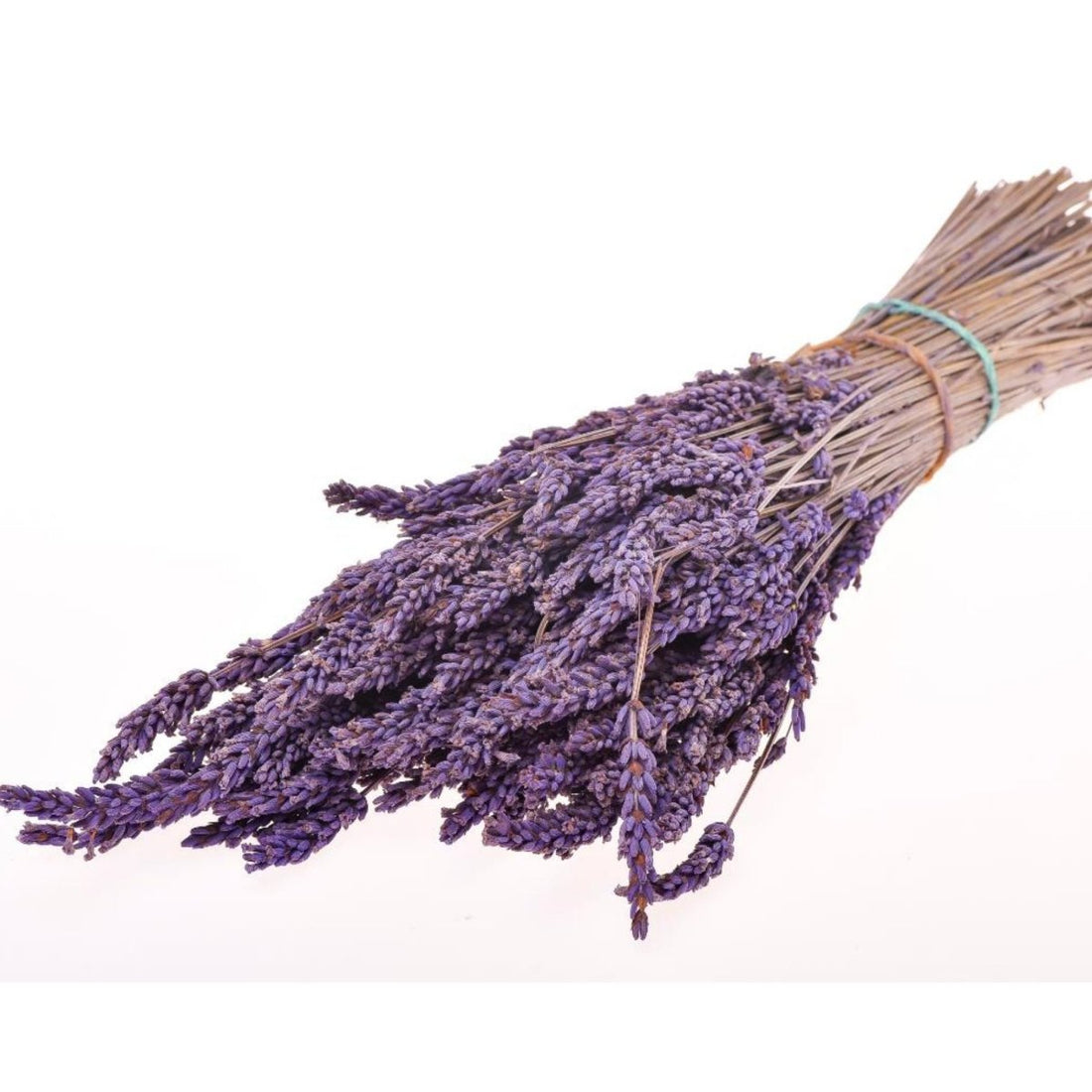 Lavanda stabilizzata in mazzo - Mondoprato