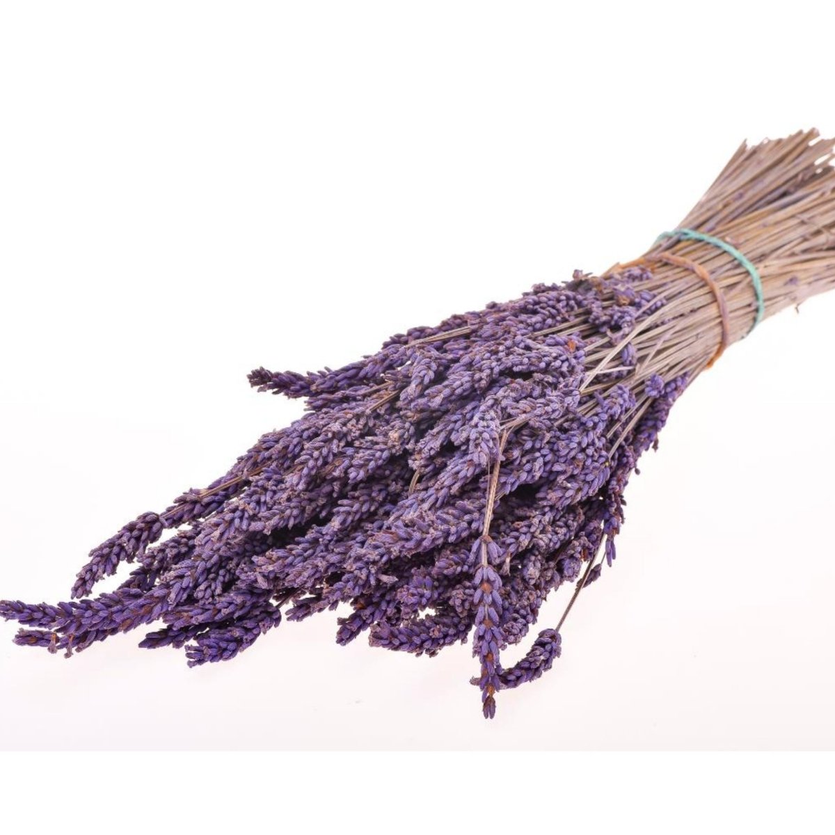 Lavanda stabilizzata in mazzo - Mondoprato