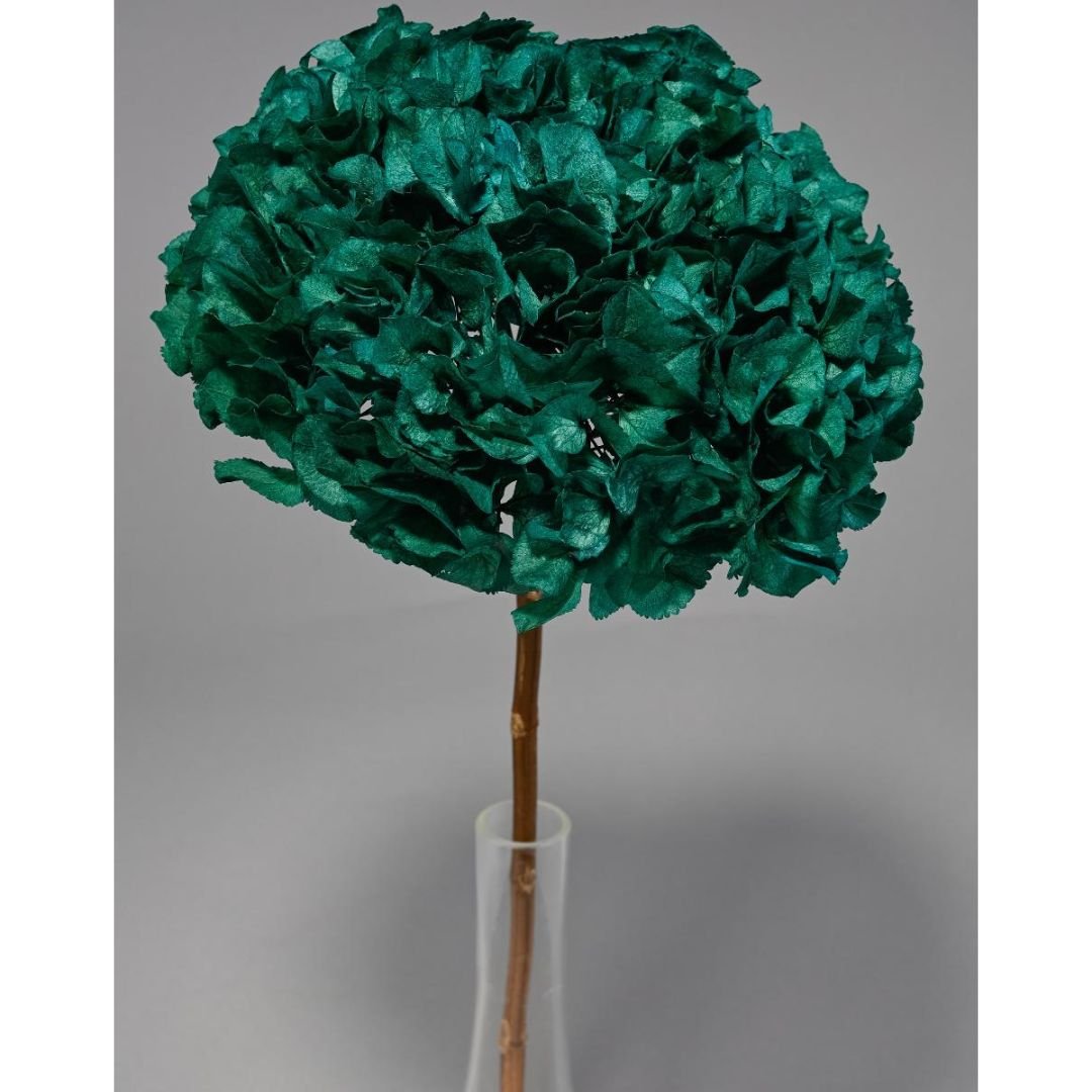 Ortensia Stabilizzata - Vari colori - Mondoprato