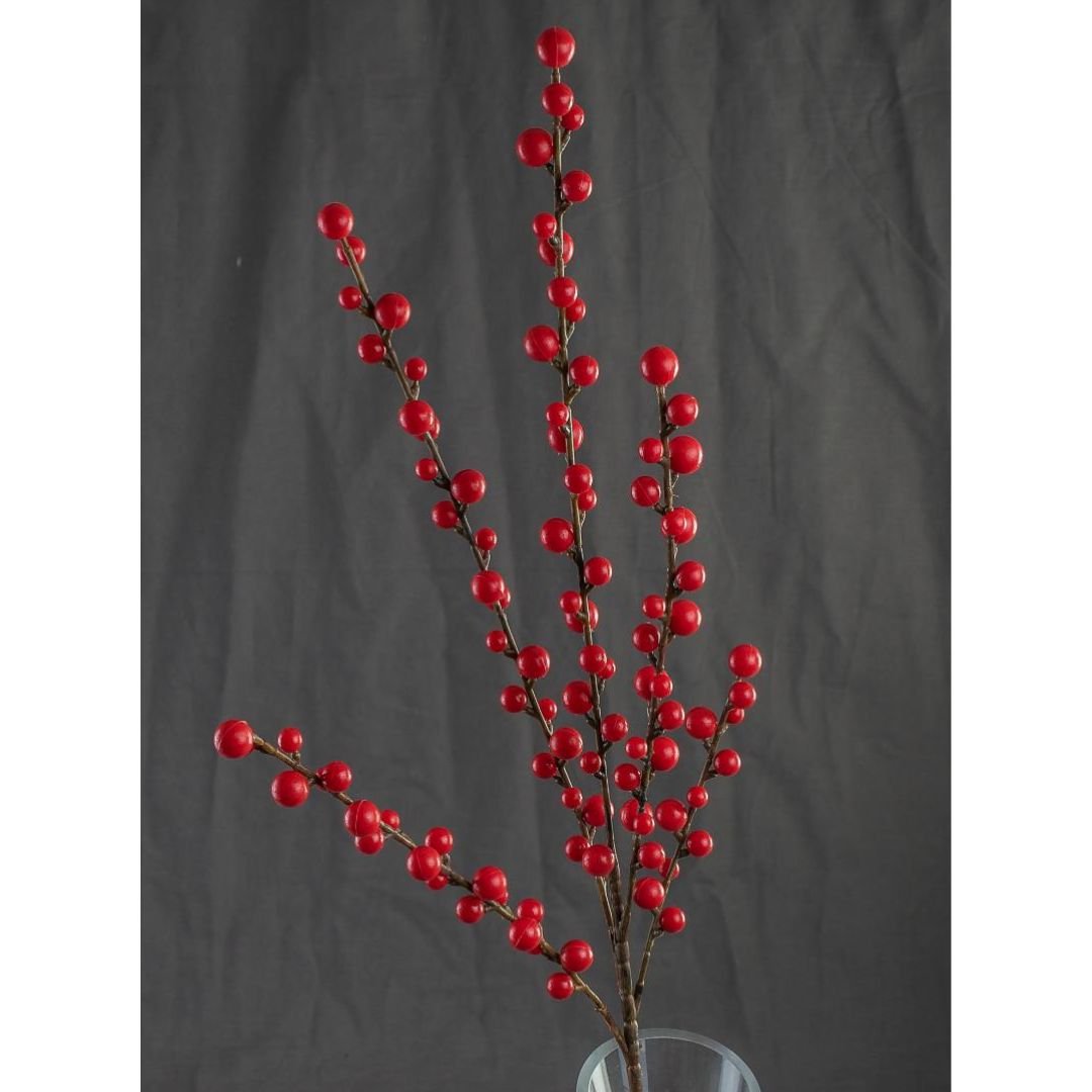 Ramo con Bacche Rosse - Mondoprato