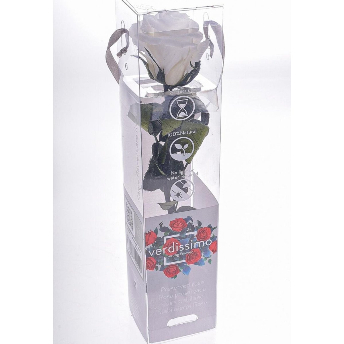 Rosa stabilizzata - 25cm - Mondoprato