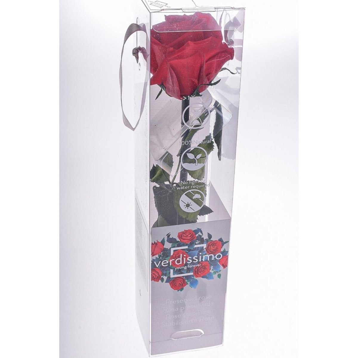 Rosa stabilizzata - 25cm - Mondoprato