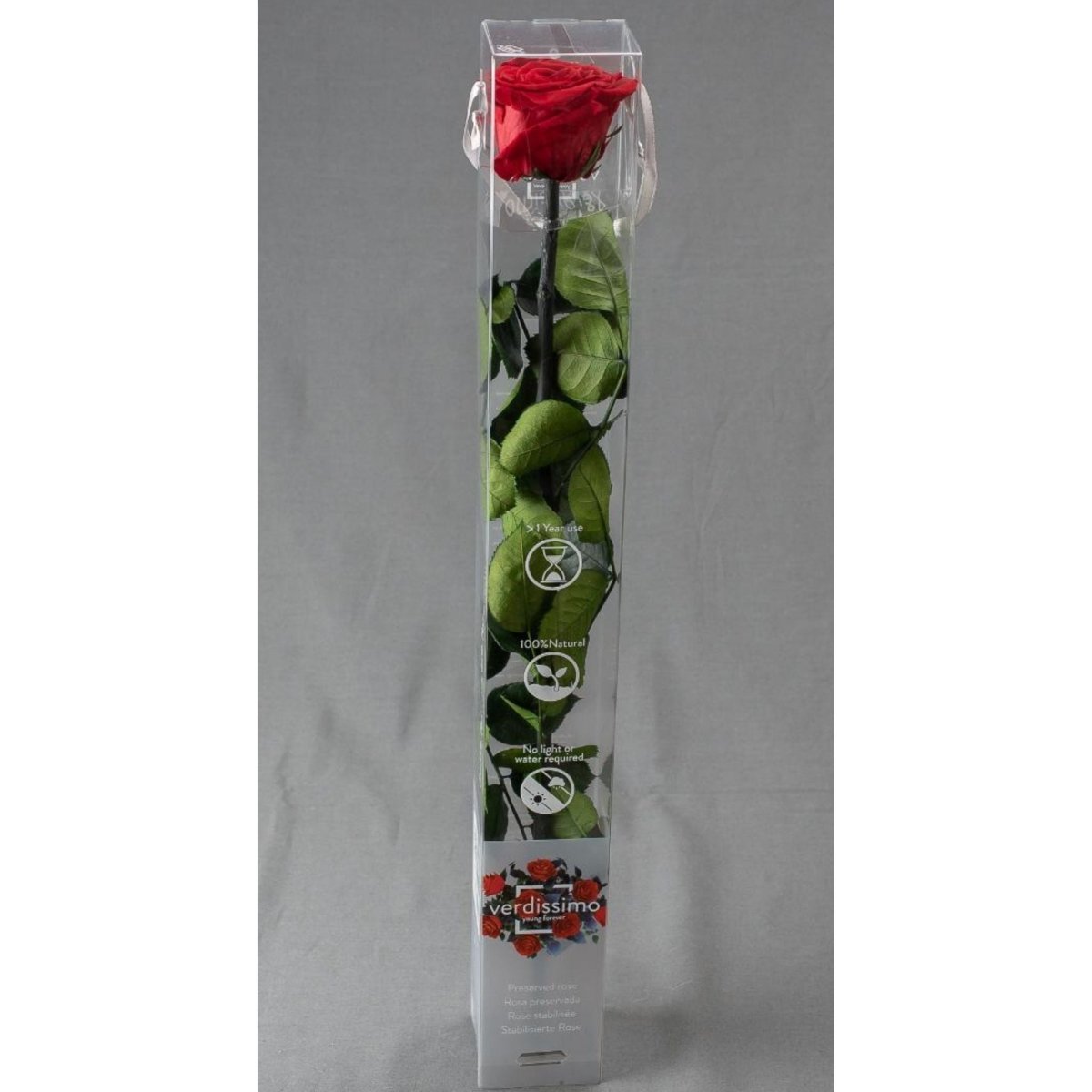 Rosa stabilizzata - stelo 55cm - Mondoprato