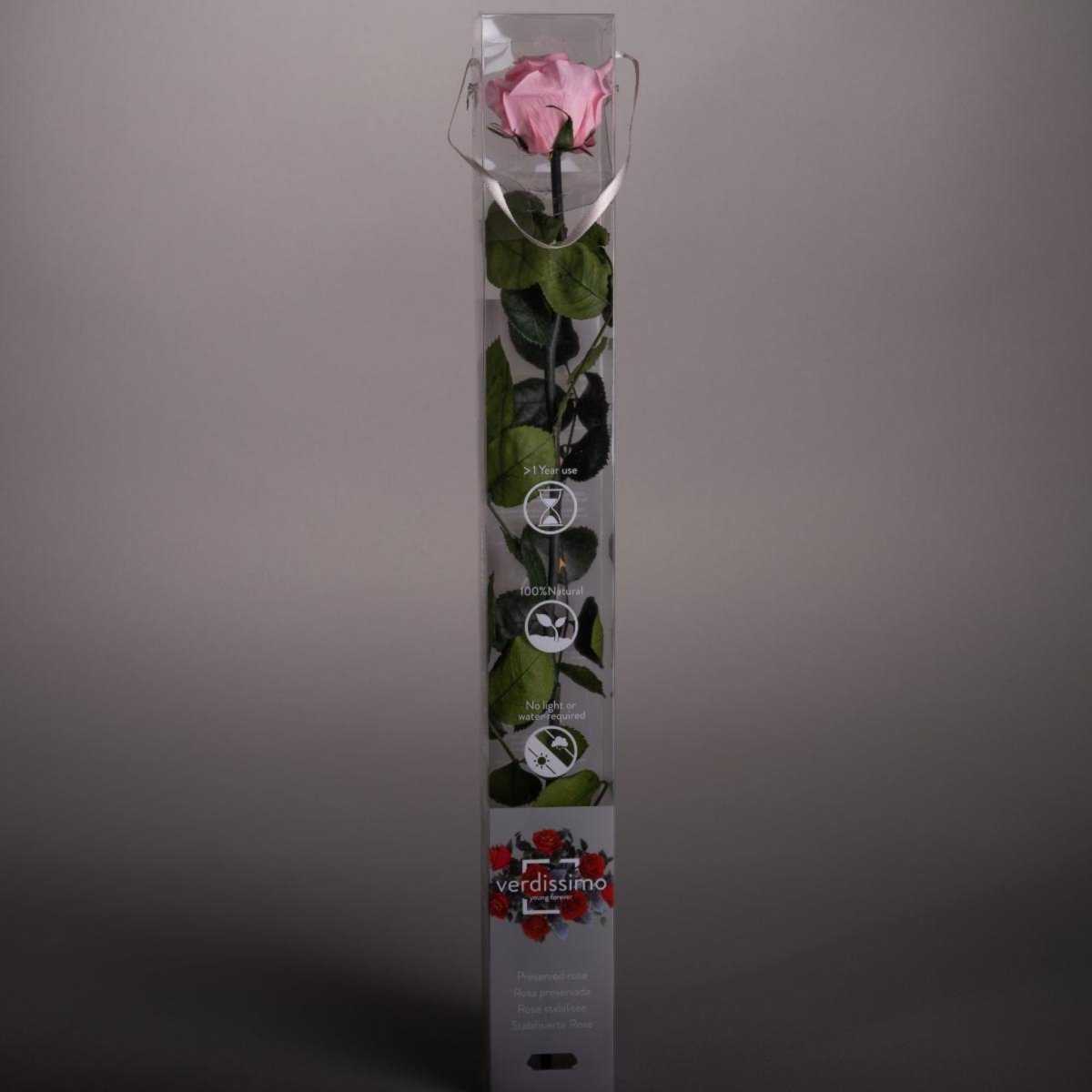 Rosa stabilizzata - stelo 55cm - Mondoprato