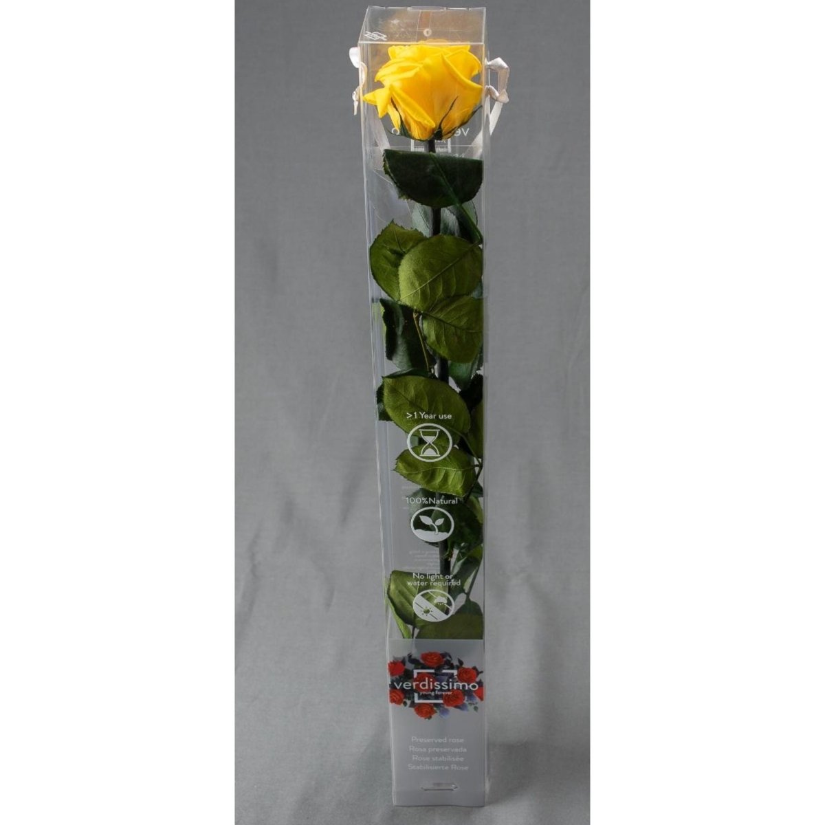 Rosa stabilizzata - stelo 55cm - Mondoprato