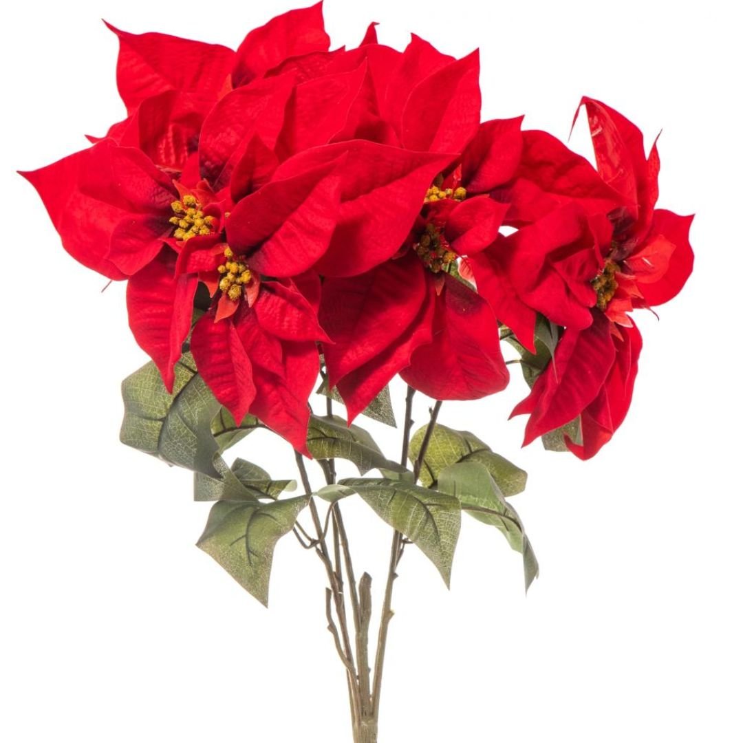 Stella di Natale in Mazzo - 60 Cm - Mondoprato