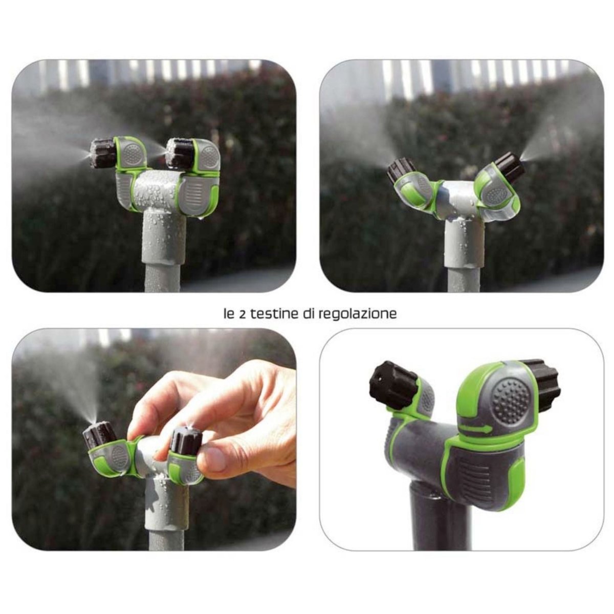 Summer fresh kobra - Mondoprato