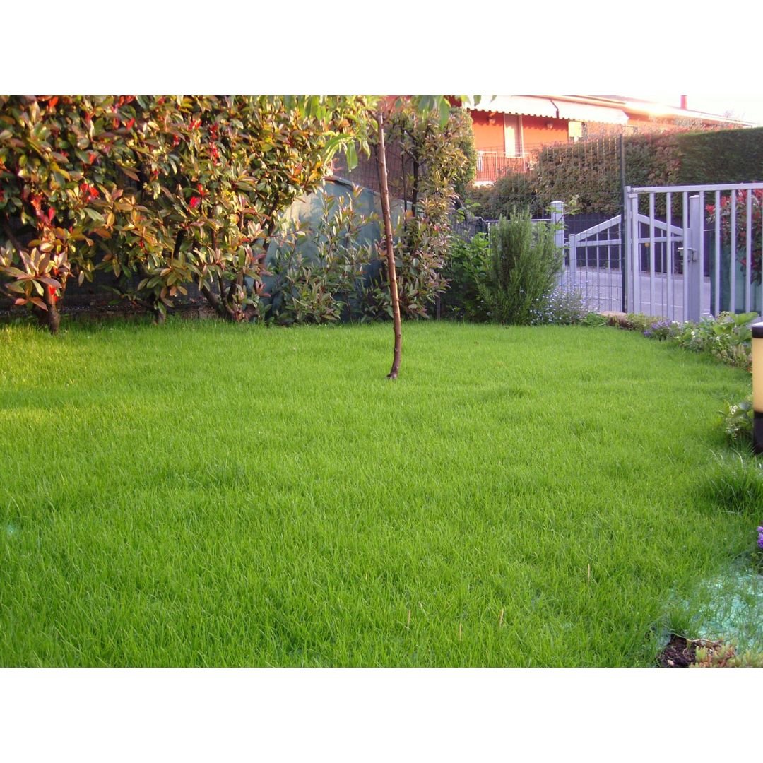 Viresco- Biostuoia prato soleggiato 100mq - Mondoprato