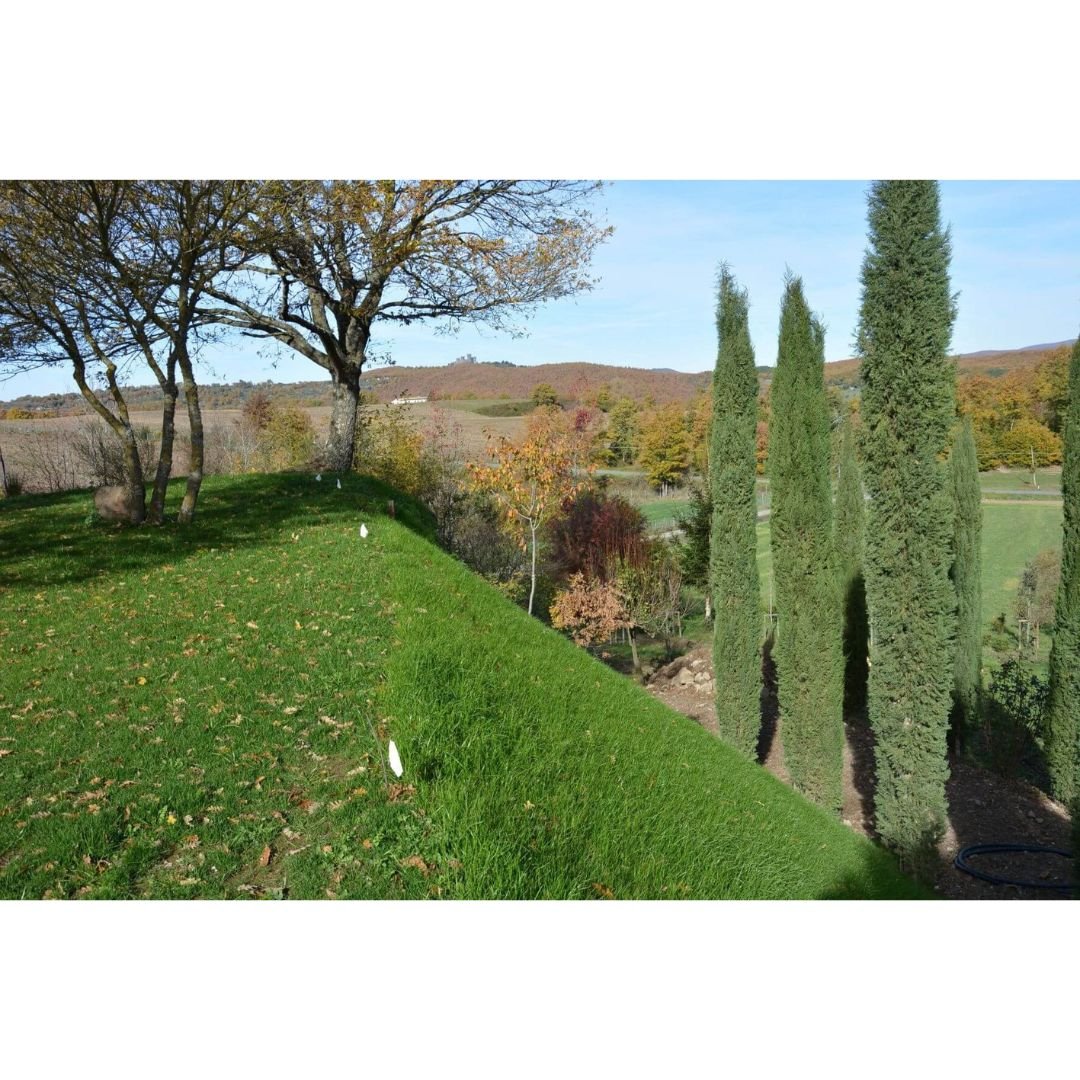 Viresco sator - Biostuoia antierosione 50mq - Mondoprato