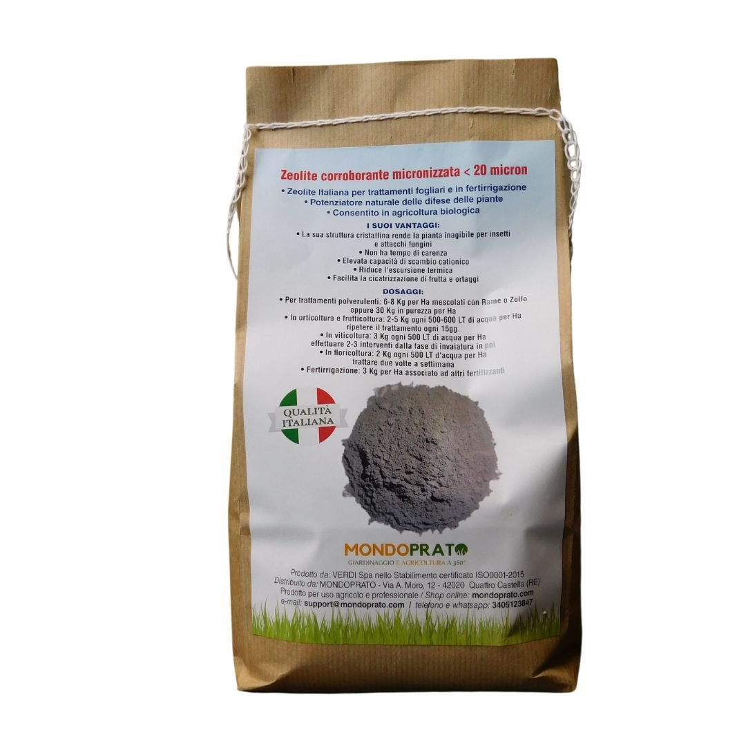 Zeolite Chabasite micronizzata - 1Kg - Mondoprato