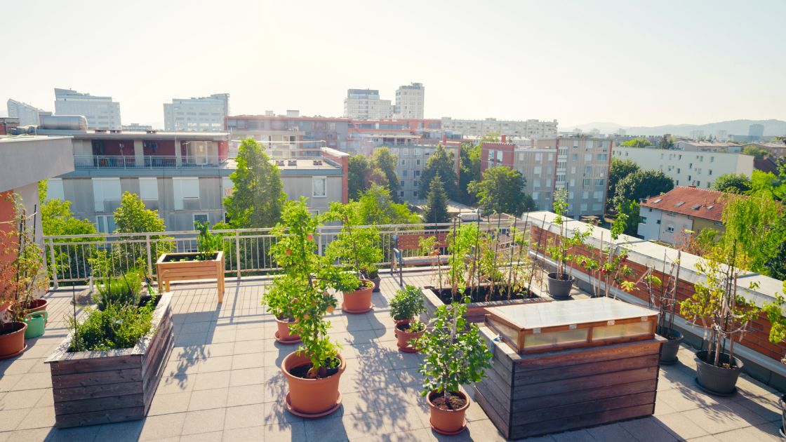 Orti rialzati per Giardino o terrazzo - Acquista ora | Mondoprato