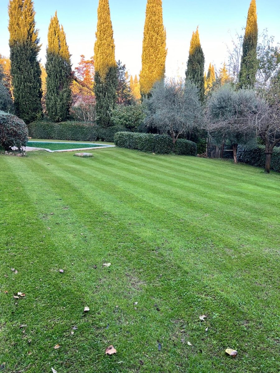 Sementi professionali Americane - Mondoprato