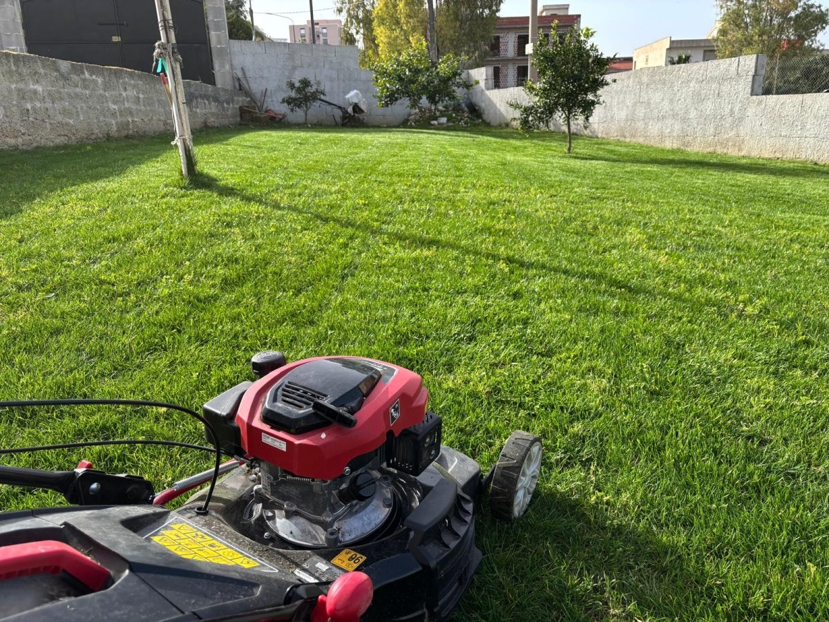 Sementi standard Europee - Mondoprato