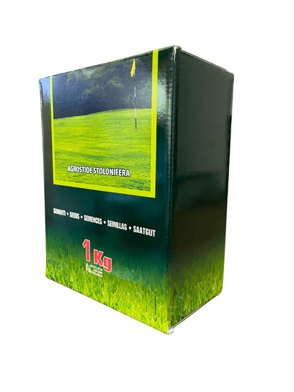 Agrostide Stolonifera - 1Kg - Mondoprato