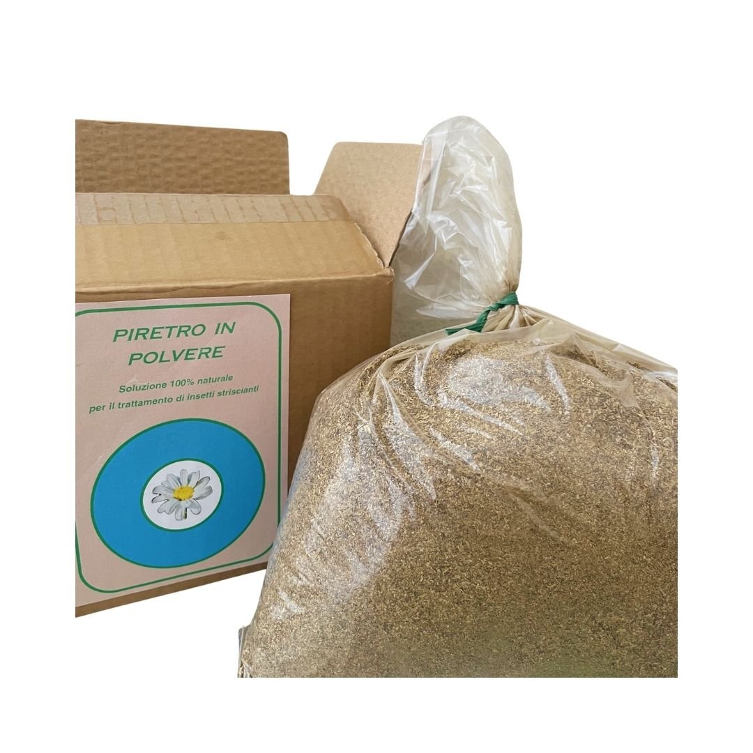 Piretro in Polvere - 1 Kg - Mondoprato
