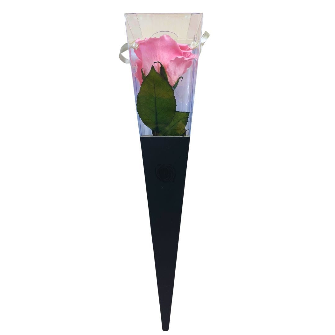 Rosa Stabilizzata in cono - Vari colori - Mondoprato