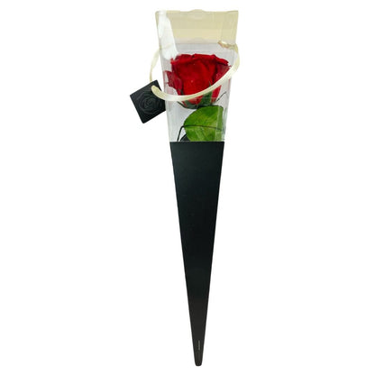 Rosa Stabilizzata in cono - Vari colori - Mondoprato