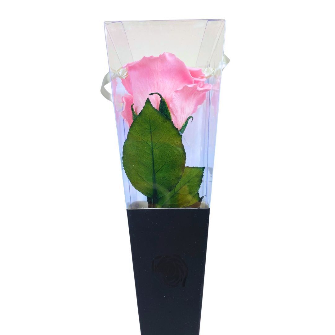 Rosa Stabilizzata in cono - Vari colori - Mondoprato