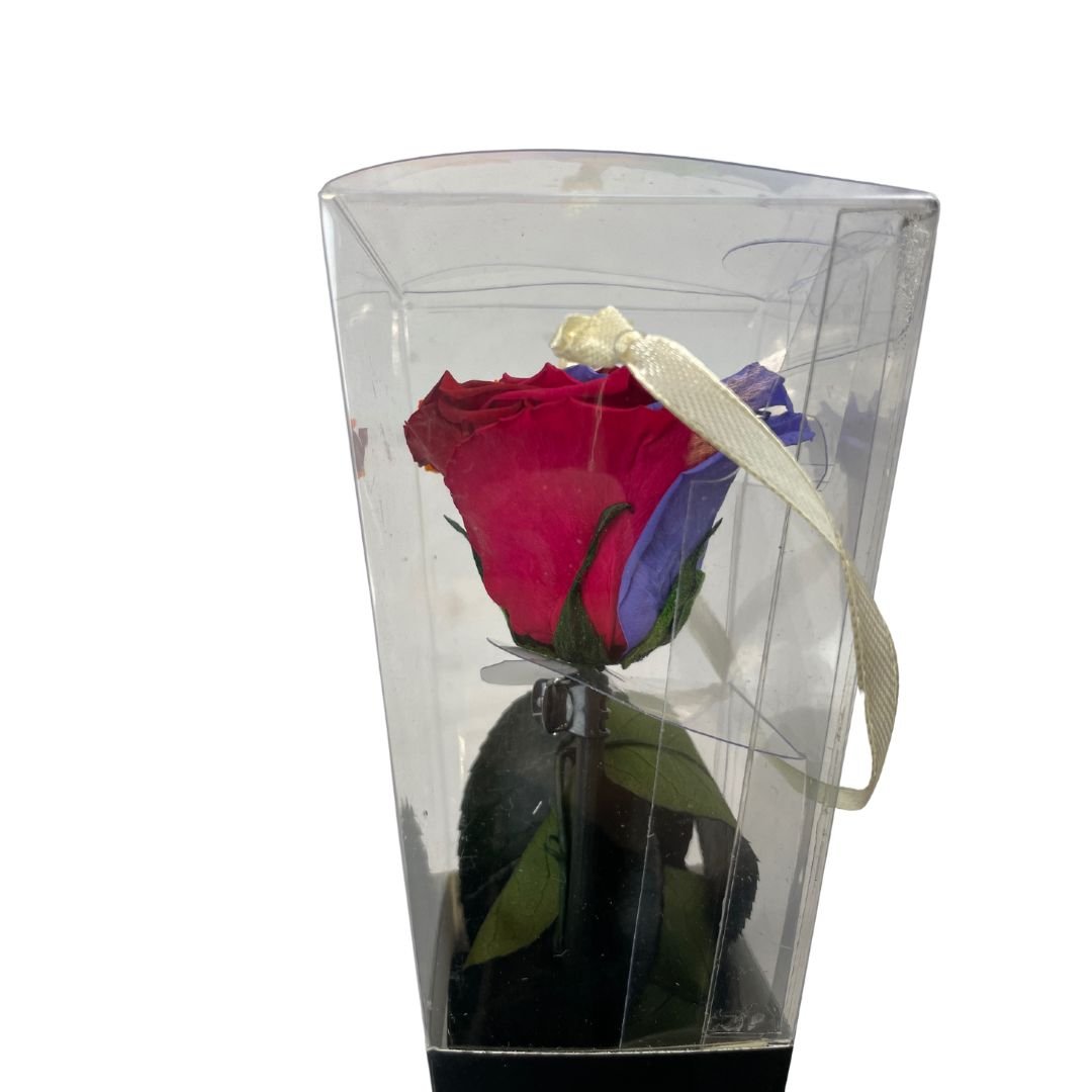 Rosa Stabilizzata Multicolor - 30 Cm - Mondoprato