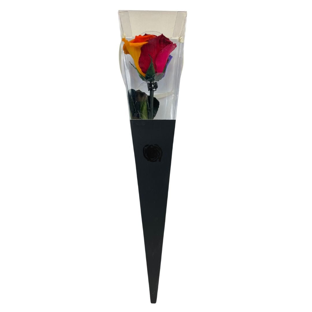 Rosa Stabilizzata Multicolor - 30 Cm - Mondoprato