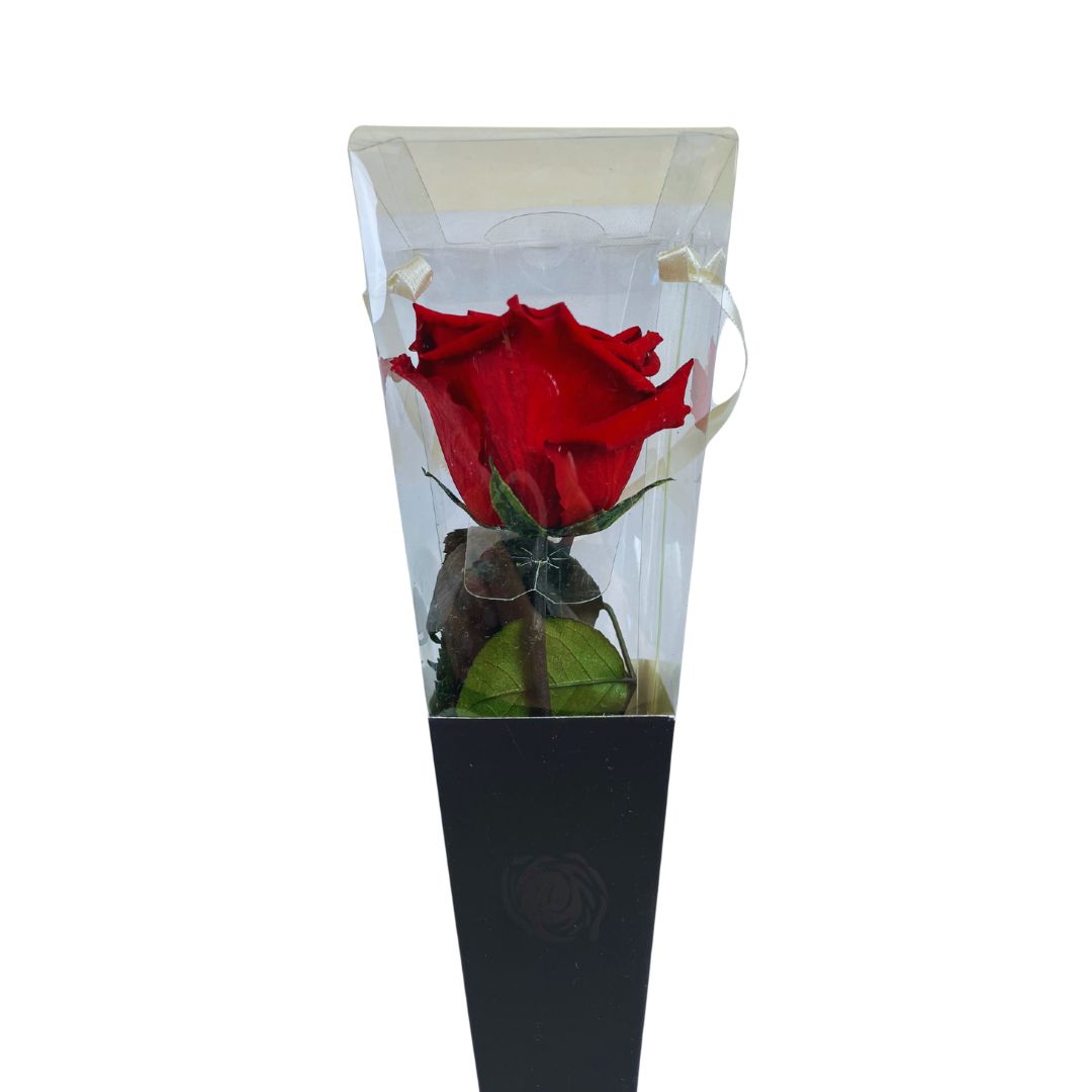 Rosa Stabilizzata in cono - Vari colori