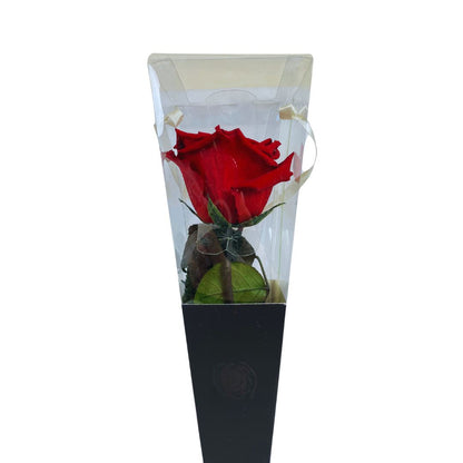 Rosa Stabilizzata in cono - Vari colori