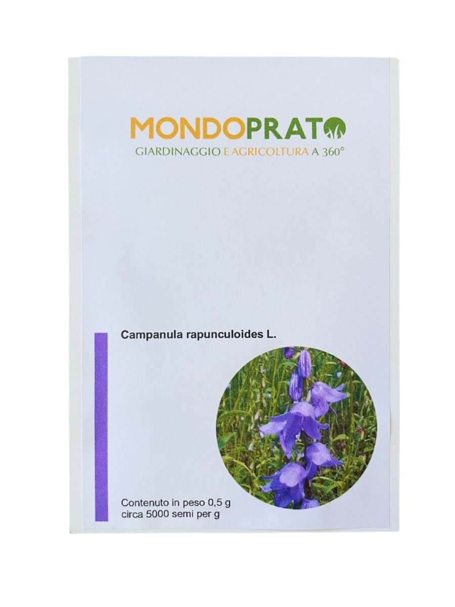 Semi di Campanula - Mondoprato