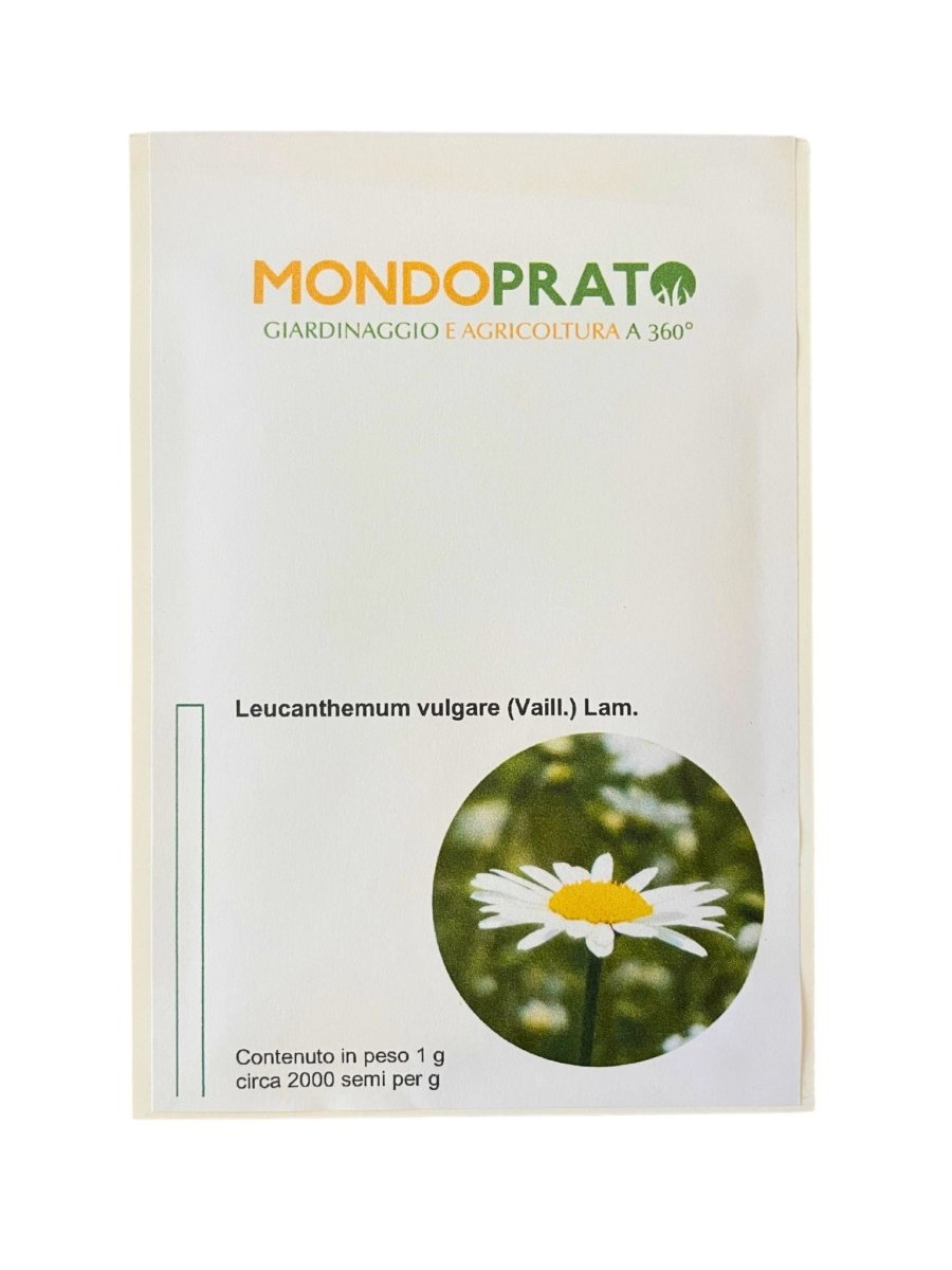 Semi di Margherita - Mondoprato