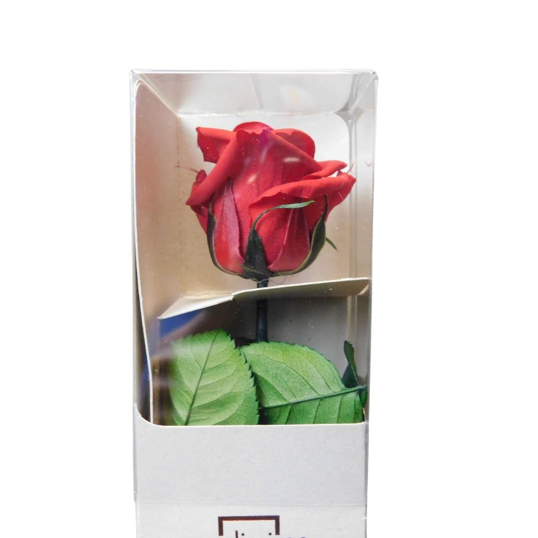 Rosa stabilizzata 25cm - Vari colori - Mondoprato